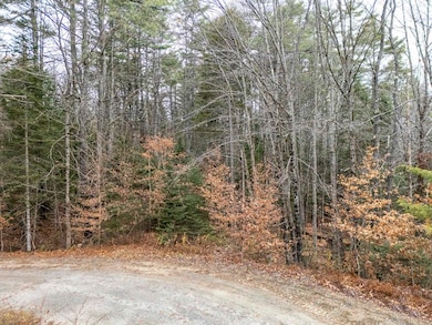 0 Juniper Meadow Rd unit 26, Danbury, NH 03230 - photo 6