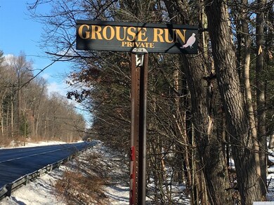 0 Grouse Run, Red Hook, NY 12571 - photo 4