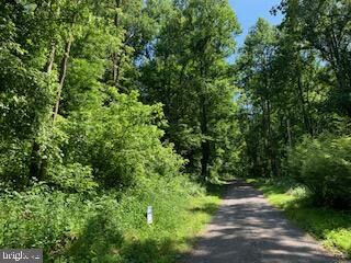 0 High Top Rd unit VAWR140640, Linden, VA 22642 - photo 2