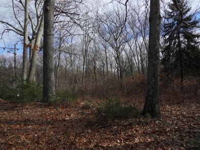 68 Depot St, Douglas, MA 01516 - photo 6