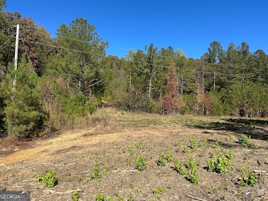 TR 3 Culp Lake Rd, Cedartown, GA 30125 - photo 5