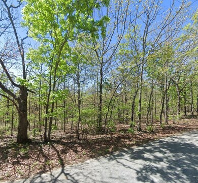 0 David Hall Blvd, Eucha, OK 74342 - photo 6