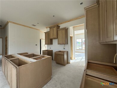 220 Desert Holly Dr, Temple, TX 76502 - photo 6