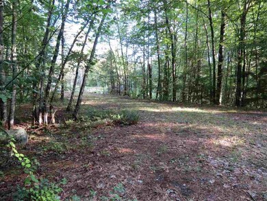 00 Poor Farm Ct unit 5, Wolfeboro, NH 03894 - photo 2