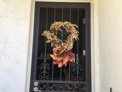 security door