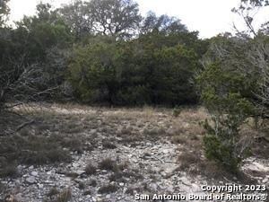 0 Fawn River Dr unit ACT6298542, Spring Branch, TX 78070 - photo 5