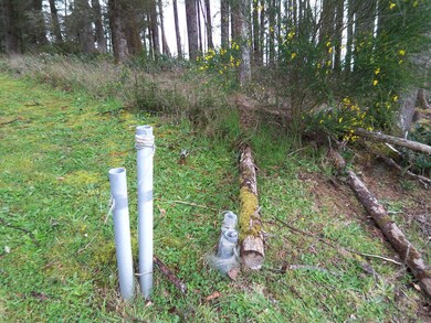 TL 3200 SE Oar Dr, Lincoln City, OR 97367 - photo 4