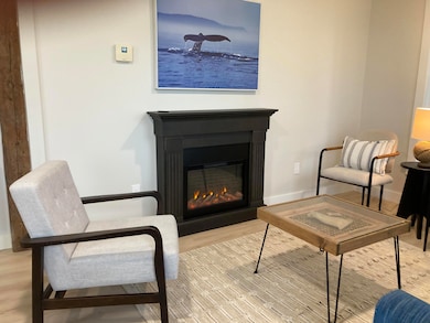 Electric fplc., living room.