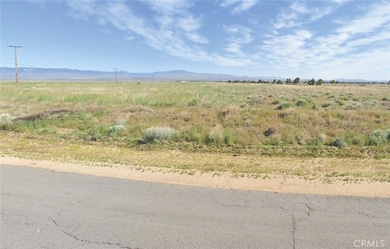 18900 Lancaster Rd, Del Sur, CA 93536 - photo 2