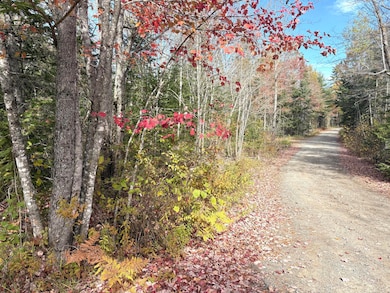 Lot 22 Off South Meadow & Roys Way Rd, Perry, ME 04667 - photo 3
