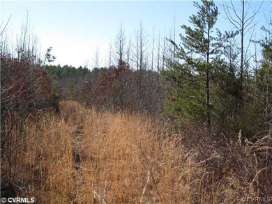 0 Courthouse Rd unit 1209657, Lunenburg, VA 23974 - photo 2