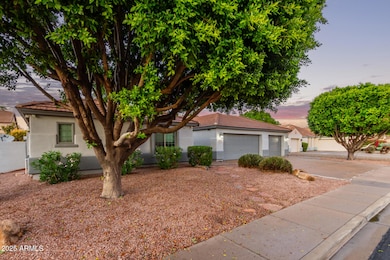 5512 E Holmes Ave, Mesa, AZ 85206 - photo 4