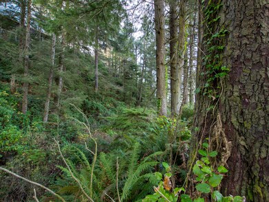 DSC_6183-HDR