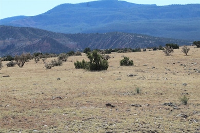 TRACT 5-C La Joya - Nm 96, Youngsville, NM 87604 - photo 3