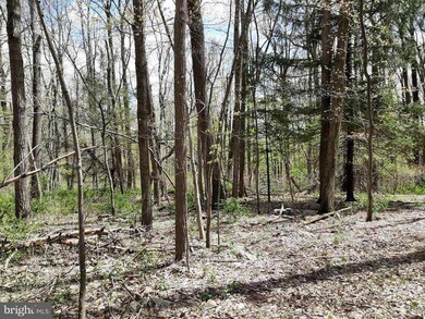 0 Hillcrest Rd, Washington Township, PA 19504 - photo 2