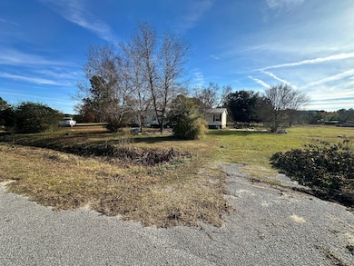 308 Michelle St, Eutawville, SC 29048 - photo 5