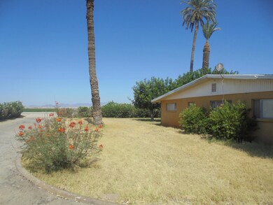 6260 N Lovekin Blvd, Blythe, CA 92225 - photo 4