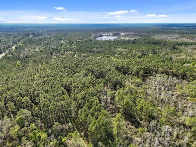 00 SE 51st Way, Trenton, FL 32693 - photo 5