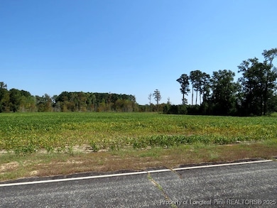TBD Cowpen Swamp Rd, Fairmont, NC 28340 - photo 2
