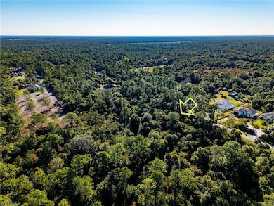 4421 16th Ave SE, Rural Estates, FL 34117 - photo 6