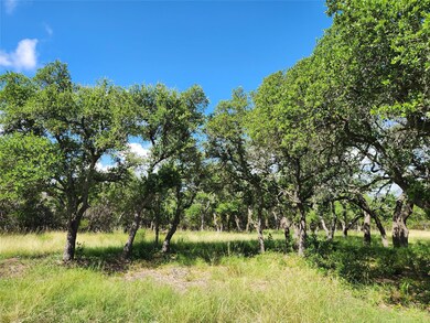 View of undeveloped land