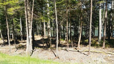 Lot 2B E Shore Dr, Harpswell, ME 04079 - photo 5