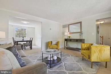 8410 Glade Ct, Columbia, MD 21046 - photo 7