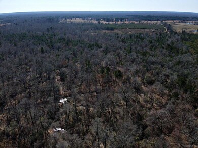 0 Beech Creek Rd, Gurdon, AR 71743 - photo 5