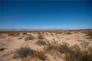 0 Barnes Dr, Twentynine Palms, CA 92277 - photo 7