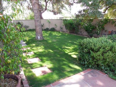 Side Yard