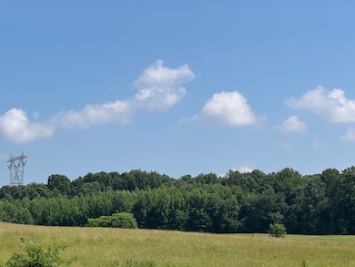 0 1100 N, Buffaloville, IN 47550 - photo 2