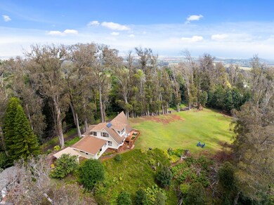 1733 Piiholo Rd, Makawao, HI 96768 - photo 5