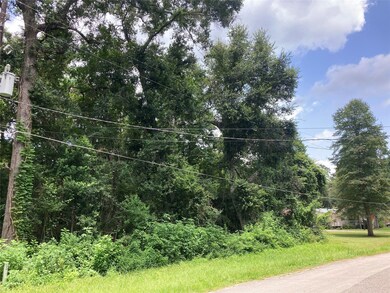 27 County Road 431, Dayton, TX 77535 - photo 2