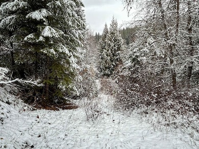 Tbd Deer Creek Rd, Valley, WA 99181 - photo 6