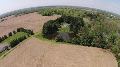 Income producing 42 acres