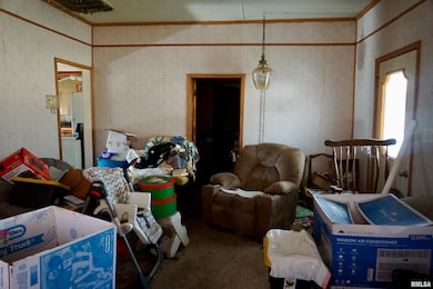 205 9th St, Colp, IL 62921 - photo 2