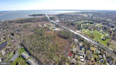 20650 Pine St, Rehoboth Beach, DE 19971 - photo 5