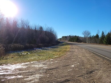 ON Cth A, Deerbrook, WI 54424 - photo 6