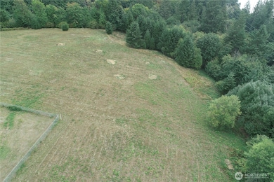 290 Wilkinson Rd, Ariel, WA 98603 - photo 5