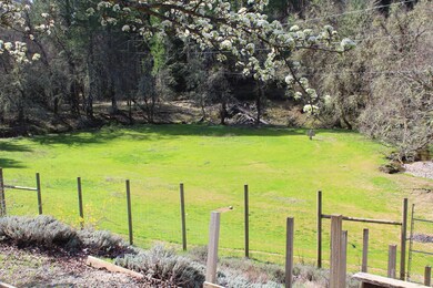 Lower pasture.