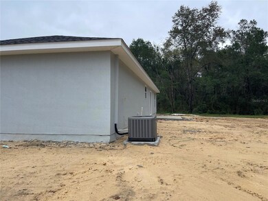 20024 Beach Blvd, Dunnellon, FL 34431 - photo 4