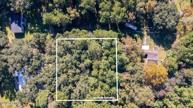 14 Ln, Lady's Island, SC 29907 - photo 5