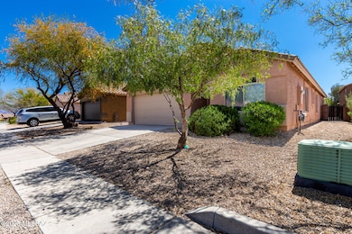 03-Mesquite Flat