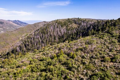 0 Tbd Highway 13 S, Meeker, CO 81641 - photo 7