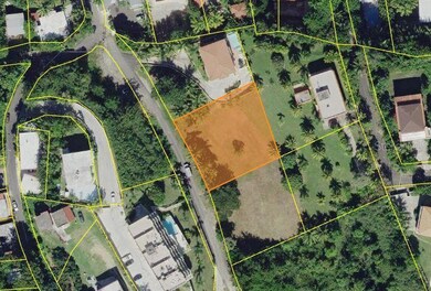 0 Carr 413 Interior Km 4 Lot #1 Bo Puntas unit MFRPR9101867, Rincon, PR 00677 - photo 2