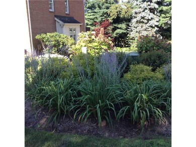 Yard/Garden.