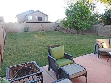 29_backyard2