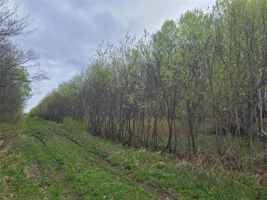 0 16th Ave unit 1553004, Sumner Township, WI 54868 - photo 3