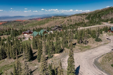 DJI_0580