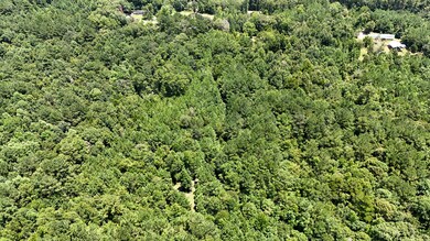 0 Tyner Ln, Defuniak Springs, FL 32435 - photo 2